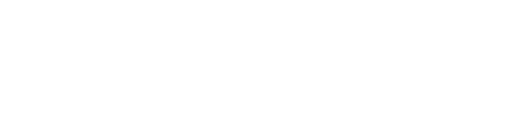 We Shape The Future