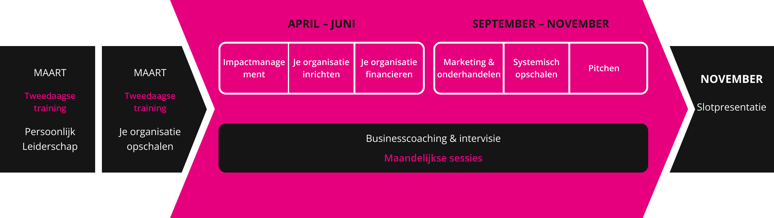 Programma-opbouw